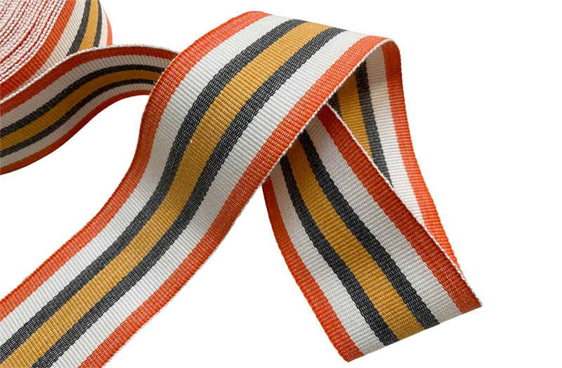 Orange Striped Webbing